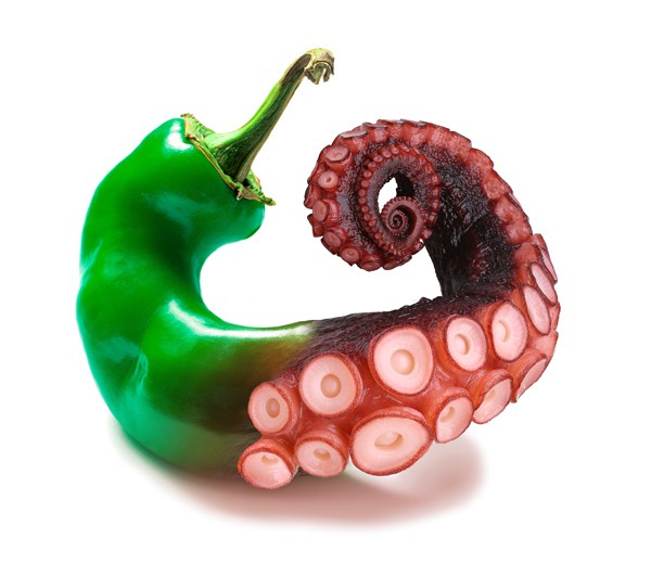 Festival de l’alimentation